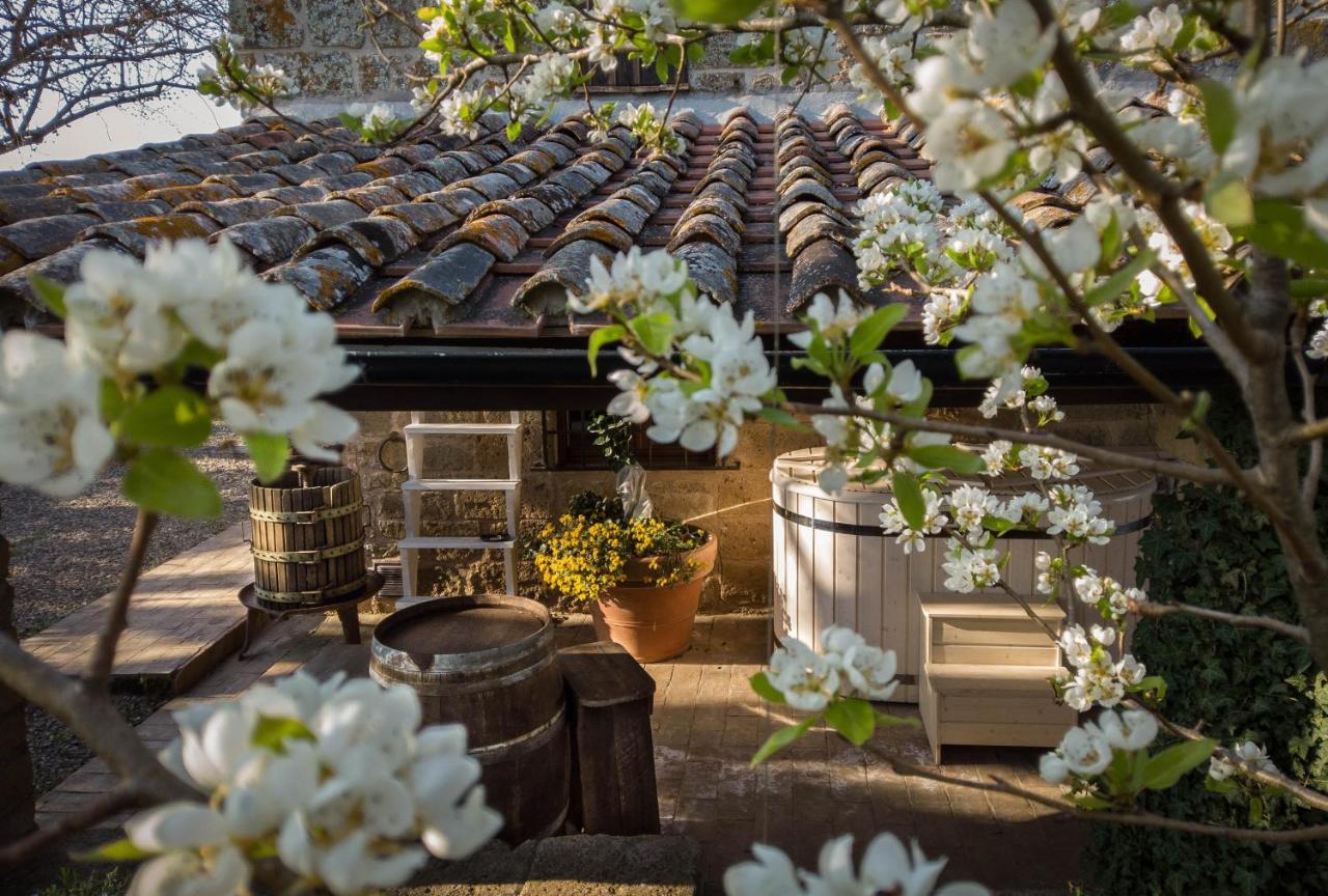 Agriturismo Biologico Sant'Egle San Quirico  المظهر الخارجي الصورة
